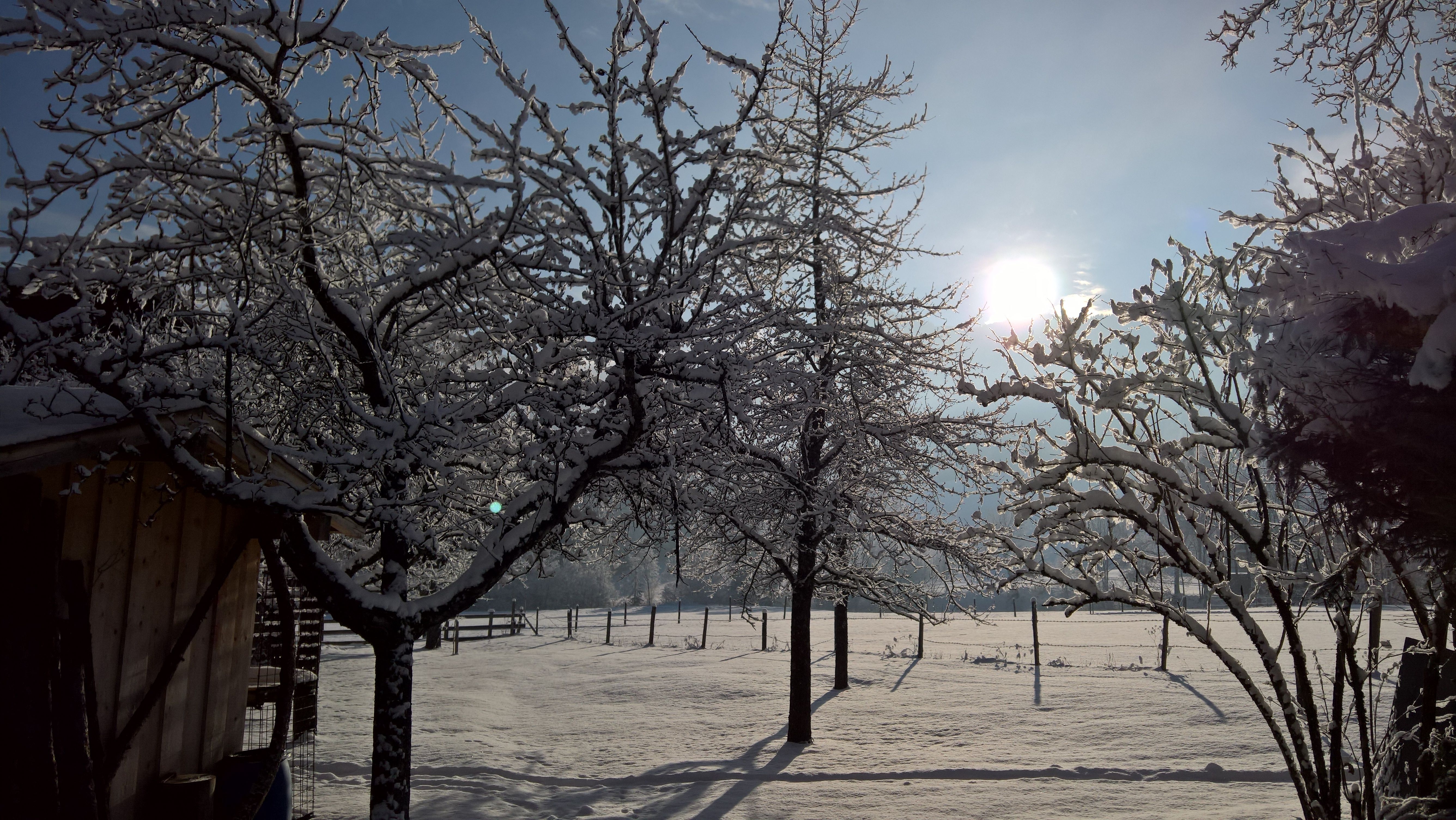 Bild nicht verfuegbar: 'winter04.jpg'